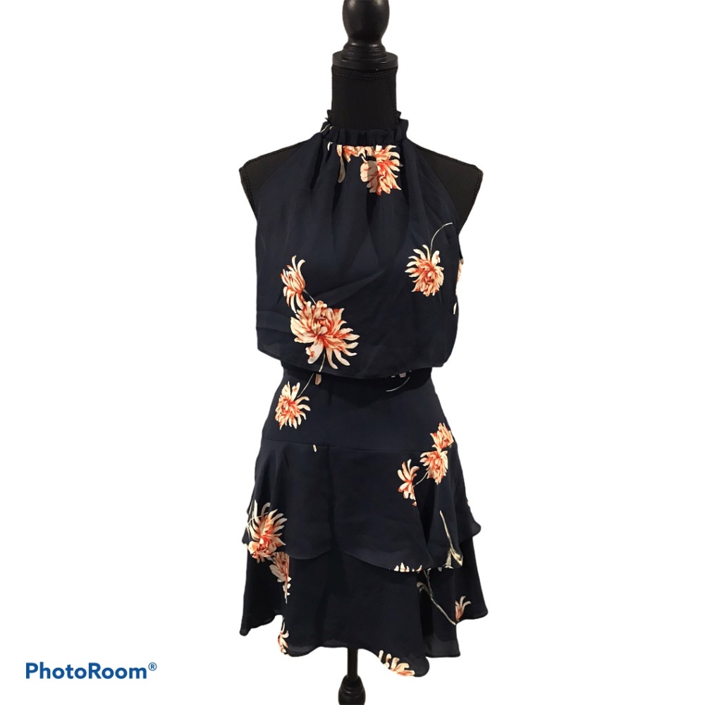 BB Dakota Garden Variety Dress in Oilslick size 2